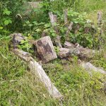 Log pile